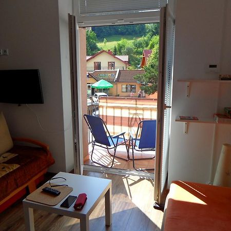 Apartament Kraszewskiego Krynica Zdroj Εξωτερικό φωτογραφία
